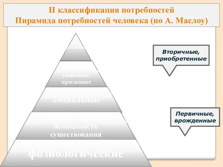 II классификация потребностей Пирамида потребностей человека (по А. Маслоу) Первичные, врожденные Вторичные, приобретенные
