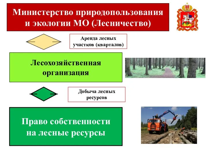Министерство природопользования и экологии МО (Лесничество) Лесохозяйственная организация Право собственности на