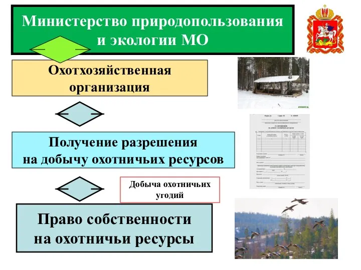Министерство природопользования и экологии МО Охотхозяйственная организация Право собственности на охотничьи