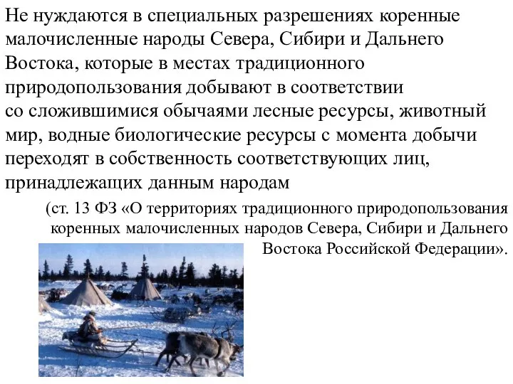 Не нуждаются в специальных разрешениях коренные малочисленные народы Севера, Сибири и