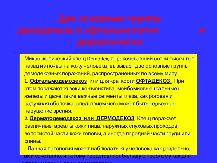 Две основные группы демодекоза в офтальмологии и дерматологии Микроскопический клещ Demodex,