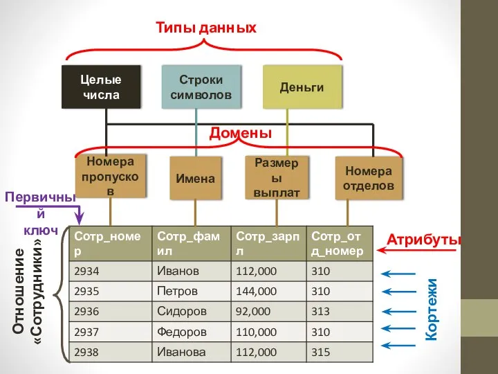 Целые числа Строки символов Деньги Номера пропусков Имена Размеры выплат Номера