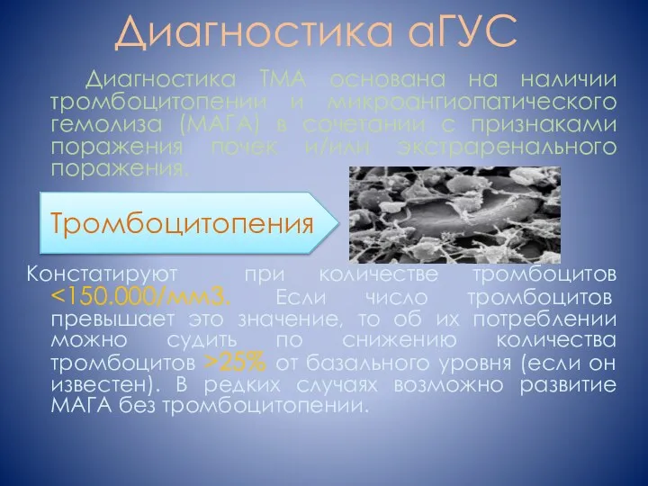 Диагностика аГУС Диагностика ТМА основана на наличии тромбоцитопении и микроангиопатического гемолиза