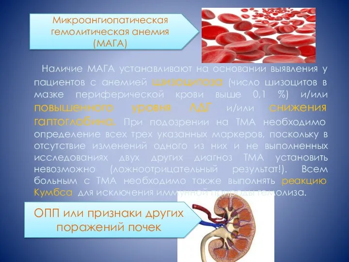 Наличие МАГА устанавливают на основании выявления у пациентов с анемией шизоцитоза