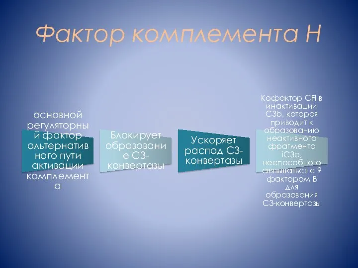 Фактор комплемента H основной регуляторный фактор альтернативного пути активации комплемента Блокирует