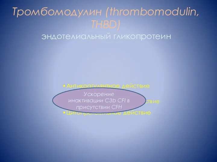 Тромбомодулин (thrombomodulin, THBD) эндотелиальный гликопротеин Антикоагулянтное действие Противовоспалительное действие Цитопротективное действие