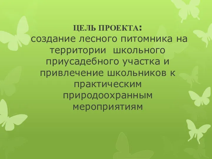 ЦЕЛЬ ПРОЕКТА: создание лесного питомника на территории школьного приусадебного участка и