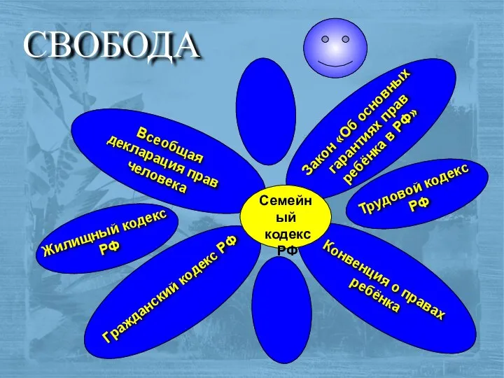 СВОБОДА Семейный кодекс РФ Всеобщая декларация прав человека Конвенция о правах