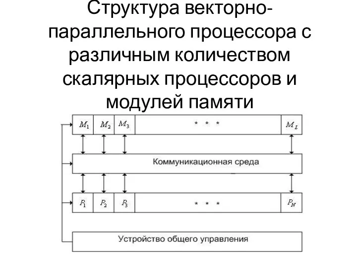 Структура векторно-параллельного процессора с различным количеством скалярных процессоров и модулей памяти