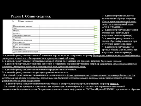 Раздел 1. Общие сведения: 1 2 3 4 5 10 11