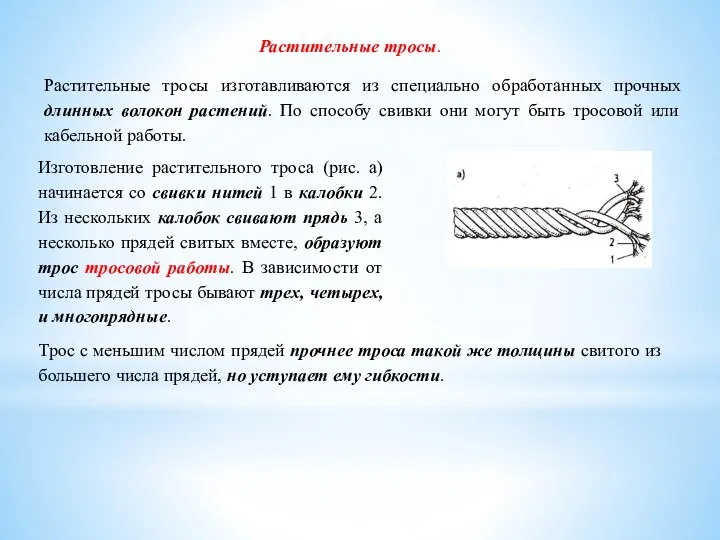 Растительные тросы. Растительные тросы изготавливаются из специально обработанных прочных длинных волокон