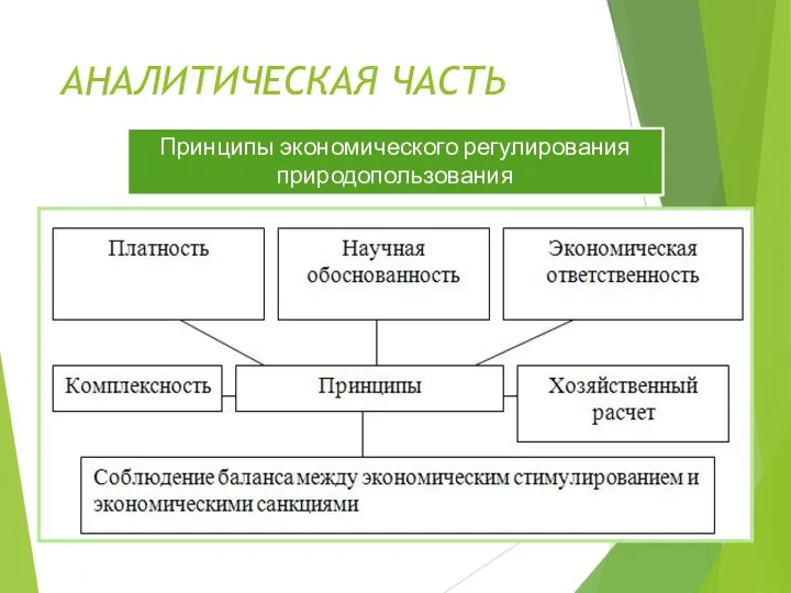 АНАЛИТИЧЕСКАЯ ЧАСТЬ Принципы экономического регулирования природопользования