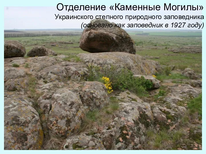 Отделение «Каменные Могилы» Украинского степного природного заповедника (основано как заповедник в 1927 году)