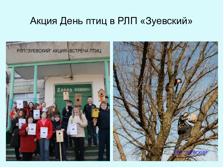 Акция День птиц в РЛП «Зуевский»