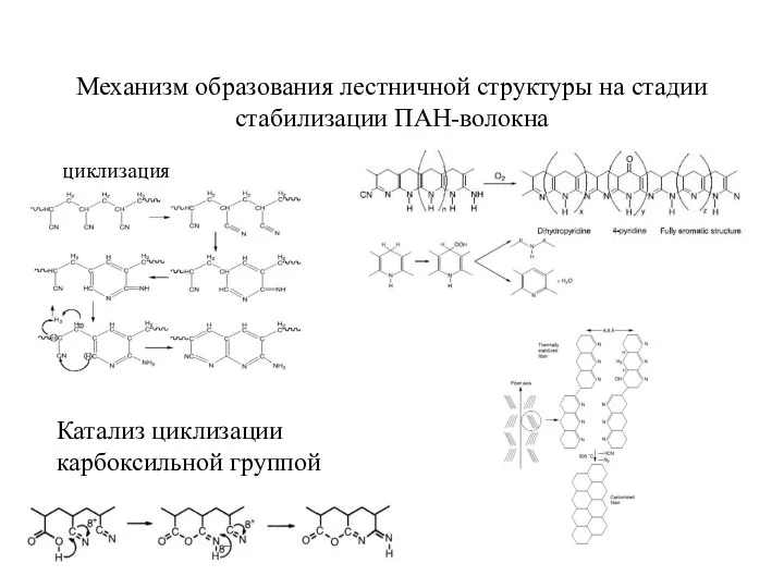 Механизм образования лестничной структуры на стадии стабилизации ПАН-волокна циклизация Катализ циклизации карбоксильной группой