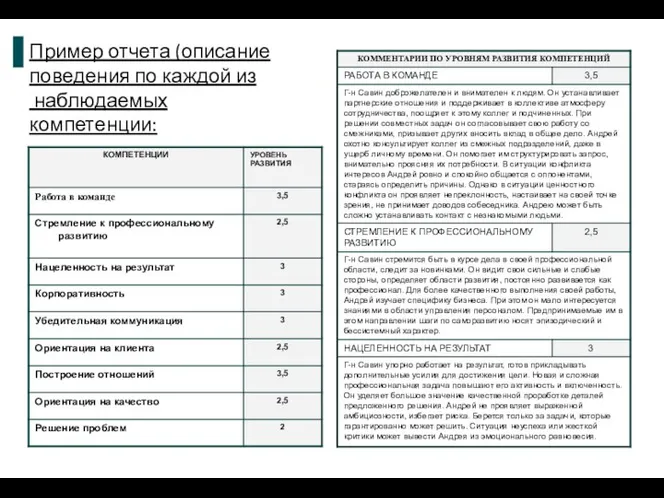 Пример отчета (описание поведения по каждой из наблюдаемых компетенции: