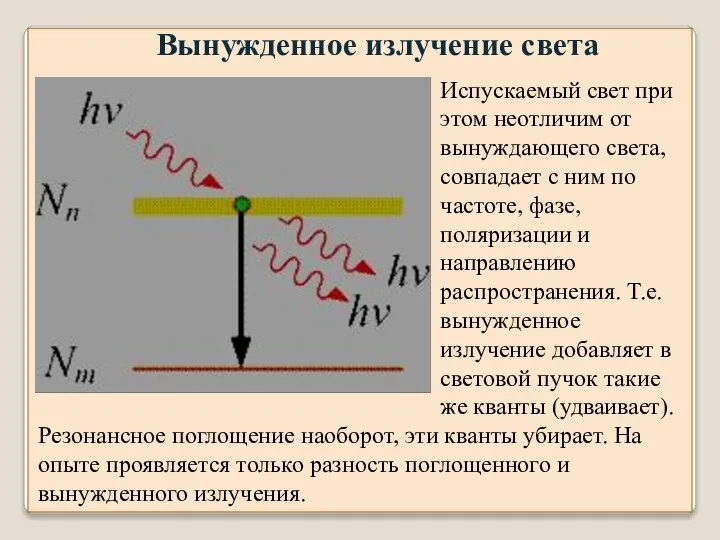 Вынужденное излучение света Испускаемый свет при этом неотличим от вынуждающего света,