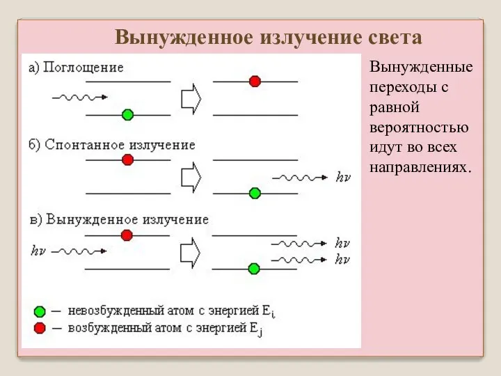 Вынужденное излучение света Вынужденные переходы с равной вероятностью идут во всех направлениях.