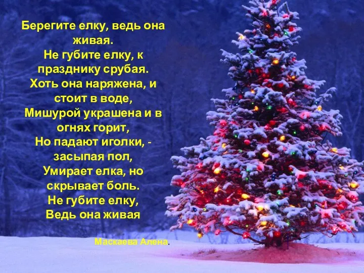 Берегите елку, ведь она живая. Не губите елку, к празднику срубая.