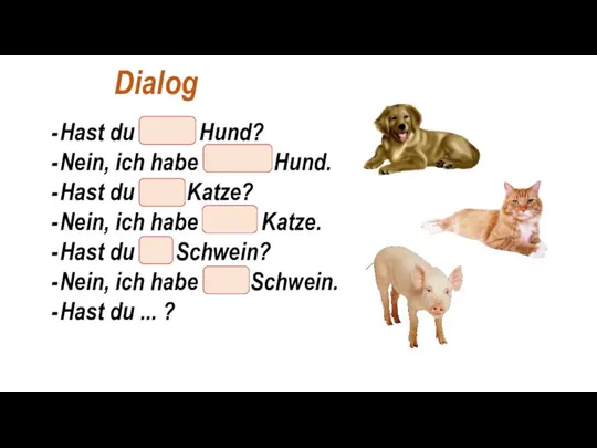 Hast du einen Hund? Nein, ich habe keinen Hund. Hast du