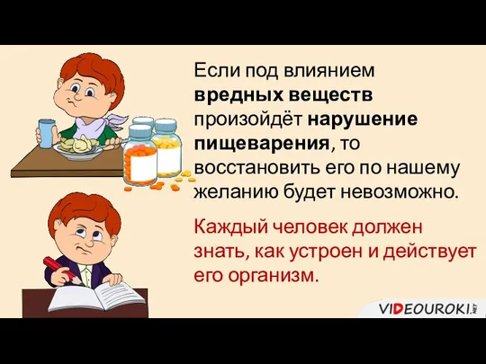 Если под влиянием вредных веществ произойдёт нарушение пищеварения, то восстановить его