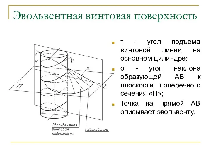 Эвольвентная винтовая поверхность τ - угол подъема винтовой линии на основном