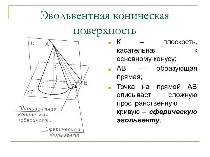 Эвольвентная коническая поверхность К – плоскость, касательная к основному конусу; АВ