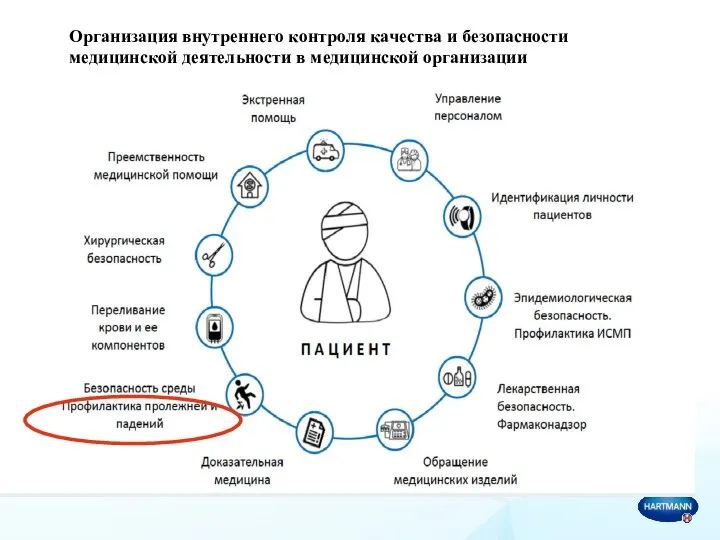 Организация внутреннего контроля качества и безопасности медицинской деятельности в медицинской организации