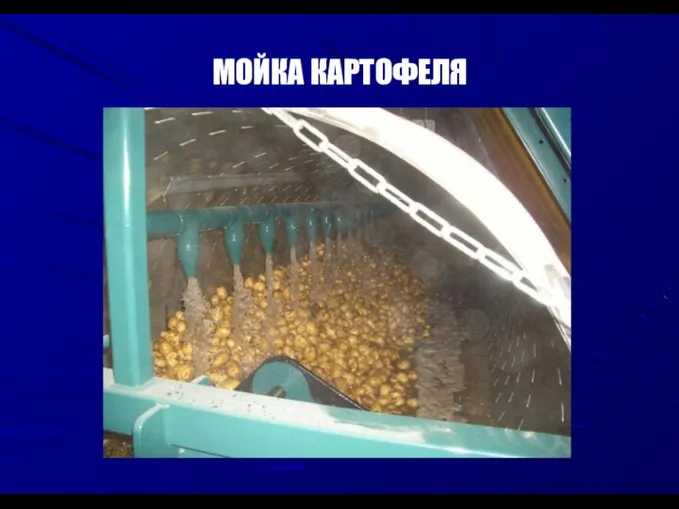 МОЙКА КАРТОФЕЛЯ