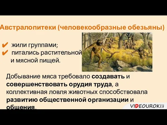 Австралопитеки (человекообразные обезьяны) жили группами; питались растительной и мясной пищей. Добывание