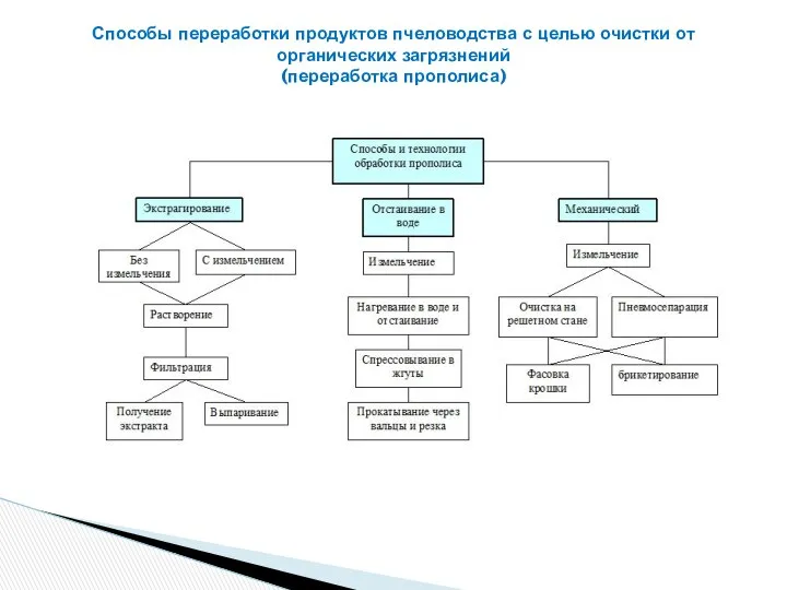 Способы переработки продуктов пчеловодства с целью очистки от органических загрязнений (переработка прополиса)