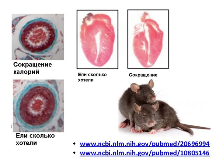 www.ncbi.nlm.nih.gov/pubmed/20696994 www.ncbi.nlm.nih.gov/pubmed/10805146