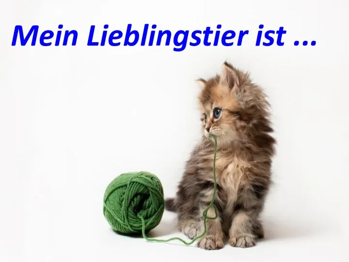 Mein Lieblingstier ist ...