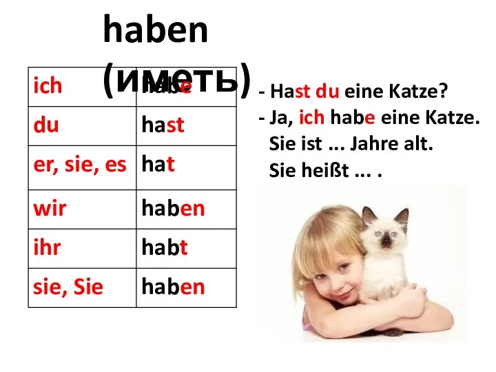 haben (иметь) Hast du eine Katze? Ja, ich habe eine Katze.