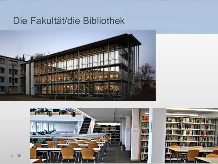Die Fakultät/die Bibliothek