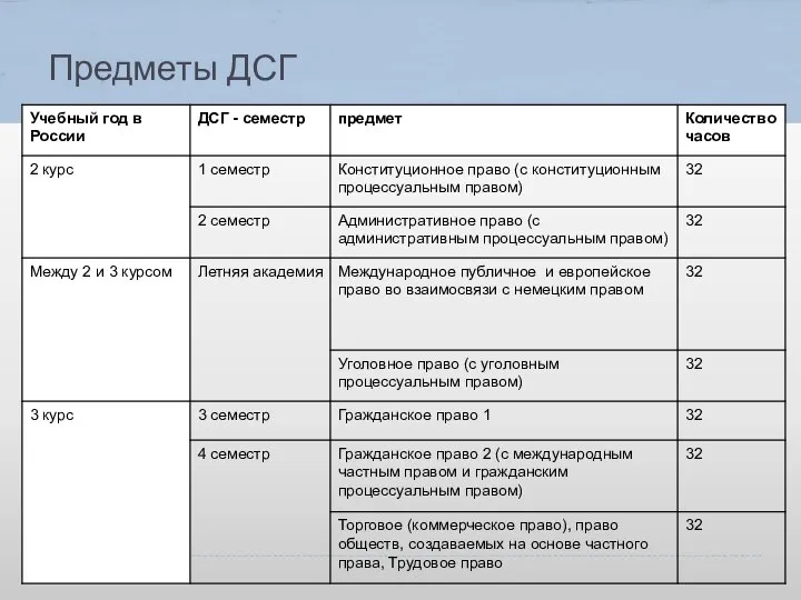 Предметы ДСГ