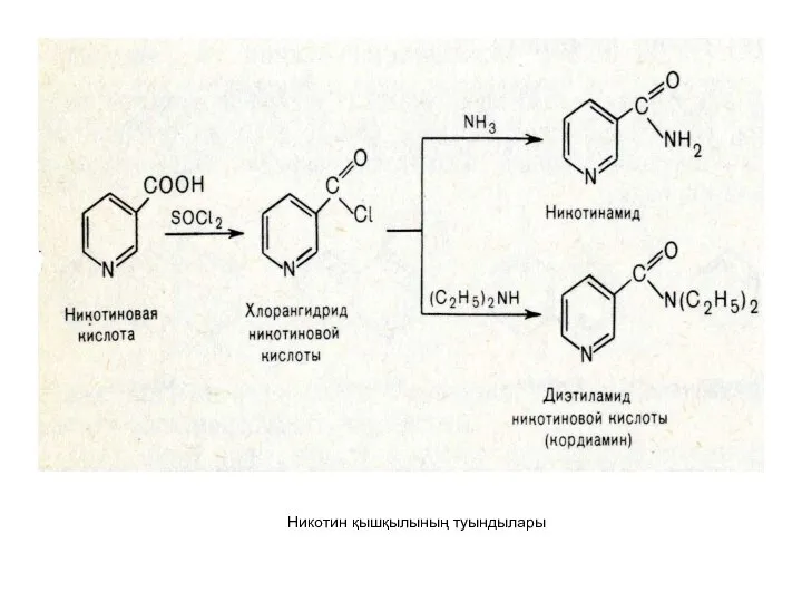 Никотин қышқылының туындылары