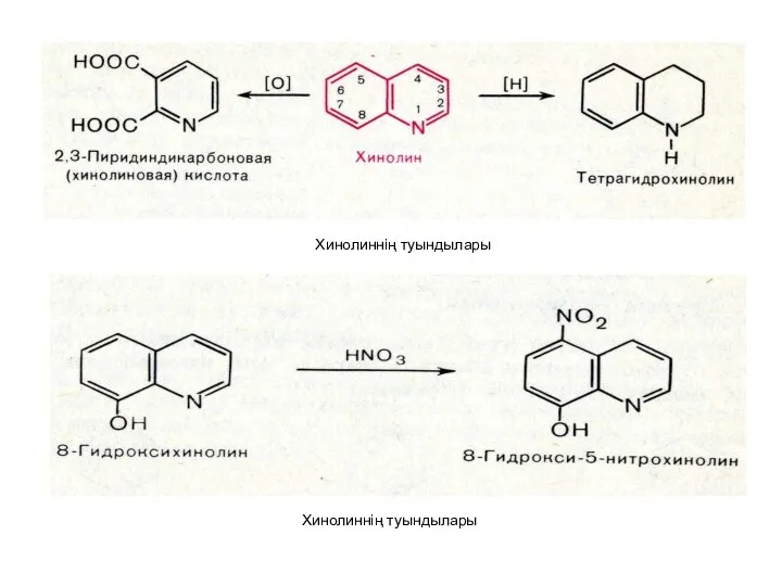 Хинолиннің туындылары Хинолиннің туындылары