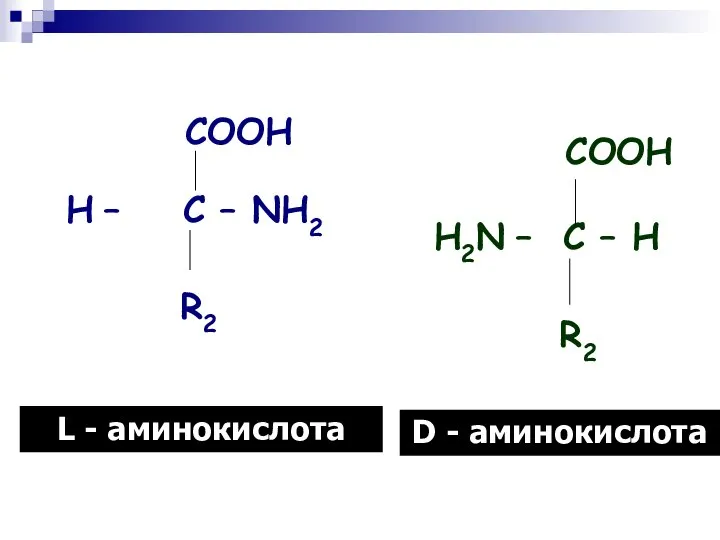 L - аминокислота D - аминокислота