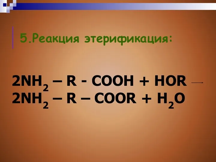 5.Реакция этерификация: 2NH2 – R - COOH + HOR 2NH2 – R – COOR + H2O