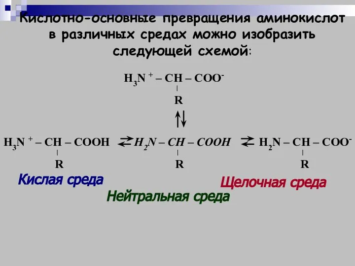 Кислотно-основные превращения аминокислот в различных средах можно изобразить следующей схемой: