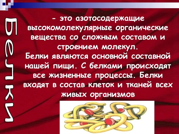 - это азотосодержащие высокомолекулярные органические вещества со сложным составом и строением