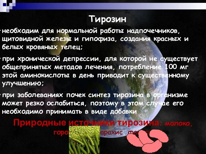 Тирозин необходим для нормальной работы надпочечников, щитовидной железы и гипофиза, создания