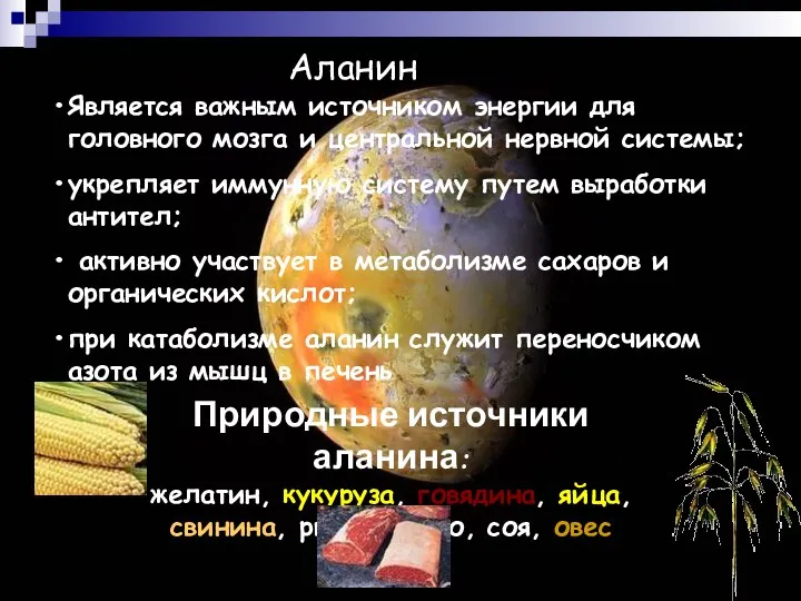 Аланин Является важным источником энергии для головного мозга и центральной нервной