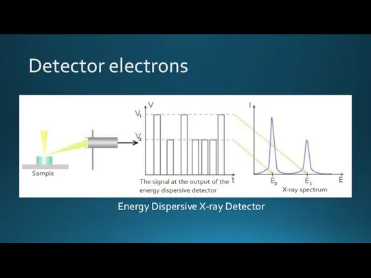 Detector electrons Energy Dispersive X-ray Detector