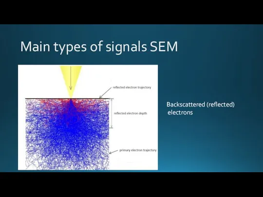Main types of signals SEM Backscattered (reflected) electrons