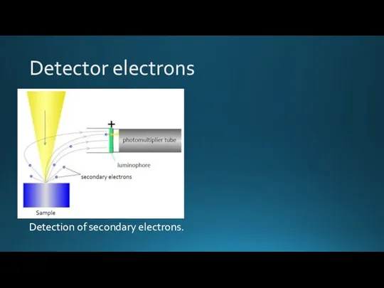 Detector electrons Detection of secondary electrons.