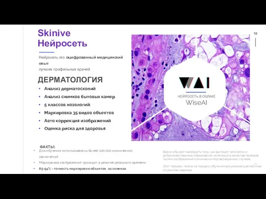 Skinive Нейросеть Для обучения использовалось более 100.000 клинических заключений Маркировка изображений