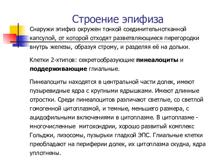 Строение эпифиза Снаружи эпифиз окружен тонкой соединительнотканной капсулой, от которой отходят