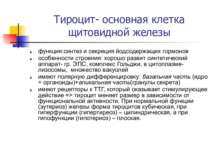 Тироцит- основная клетка щитовидной железы функция:синтез и секреция йодсодержащих гормонов особенности